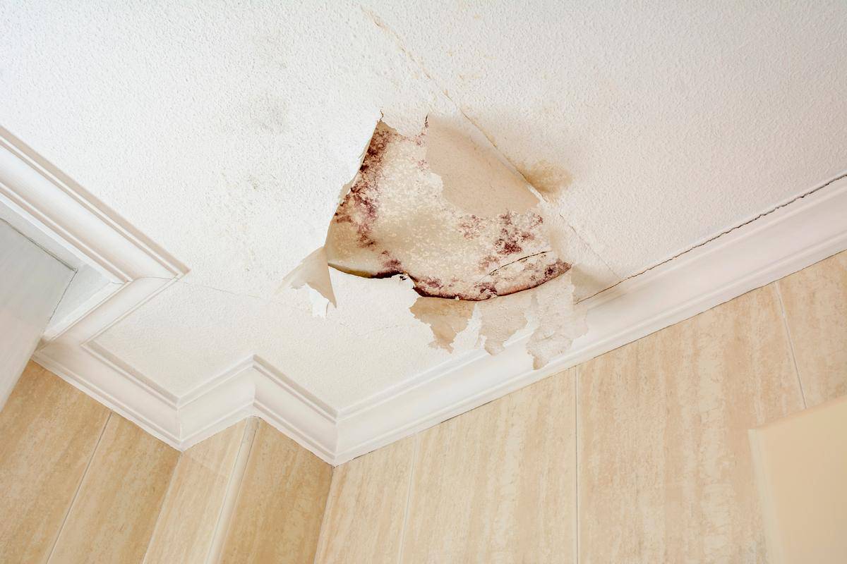 water damage restoration services in missouri